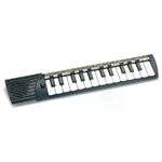 Bontempi Concertino