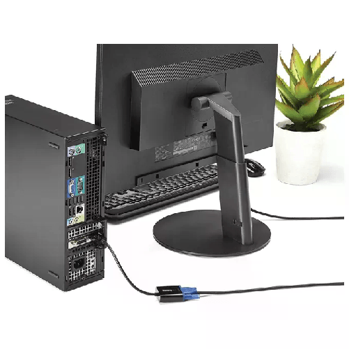 StarTech.com-Adattatore-DisplayPort-a-VGA---1920x1200---Confezione-da-5-unita