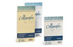 25-buste-CALLIGRAPHY-PERGAMENA-110x220mm-90gr-crema-FAVINI