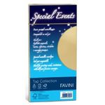 Favini Special Events Top Collection busta DL (110 x 220 mm) Argento 10 pz