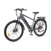Lancia-Ypsilon-Mountain-e-Bike-Genio-Unisex--Trekking-Mordente