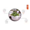 8-Seasons-Vaso-Luminoso-Curvy-Pot-Xm-Solar
