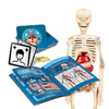 Clementoni-Scienza-Lab-Il-Corpo-Umano-Anatomia-Umana
