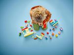 LEGO-DUPLO-Il-supermercato-di-Peppa-PIG