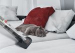 Hoover-H-HANDY-700-PETS-HH710PPT-011-Platino