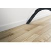 Hoover-H-POWER-300-HP330ALG-011-2-L-A-cilindro-Secco-850-W-Senza-sacchetto