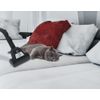 Hoover-H-POWER-300-HP330ALG-011-2-L-A-cilindro-Secco-850-W-Senza-sacchetto