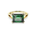 SWAROVSKI ANELLO MATRIX BAG GREEN/GOS 55