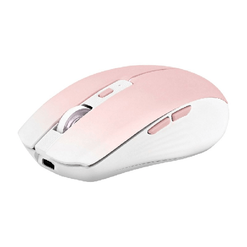 T'NB Mouse T'NB GRADIENT Rosa