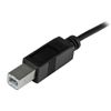 Startech-Cavo-Usb-C-a-Usb-B-da-2mt