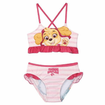 The Paw Patrol Bikini The Paw Patrol
