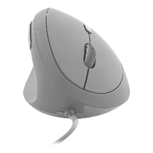 T'NB Mouse T'NB LEFTY