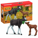 Schleich Playset Schleich 42629 3 Pezzi