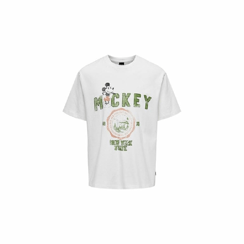 img-54f09e8c-0fa1-407c-9bc8-f3557bef84ab.png