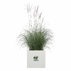 img-7a9ddec9-eb7a-49a7-a86f-60f8b81b0c1f.png