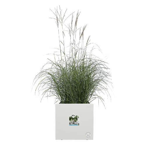 img-7a9ddec9-eb7a-49a7-a86f-60f8b81b0c1f.png