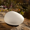 img-3077dd5f-de24-484f-9a4c-ad9939b535b7.png