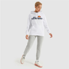 img-3575c826-063d-4d8d-8392-c933f3e0457b.png