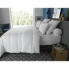 img-1968f9be-3cde-4f32-8415-5e3021dea4b1.png
