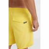 img-6824a82d-cc0b-419b-86cf-03182d2252de.png