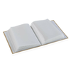 img-950ec525-303d-4523-bb7d-8f909df87948.png