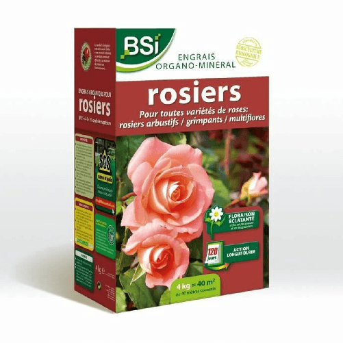 img-0ea51a44-a4a1-4c0c-a955-85db867b9613.png