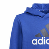 img-c1c3b2f0-5f16-49b7-b725-0dcaf27c8a56.png