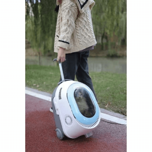 img-284cc02d-123b-40e1-a752-6aebca54856d.png