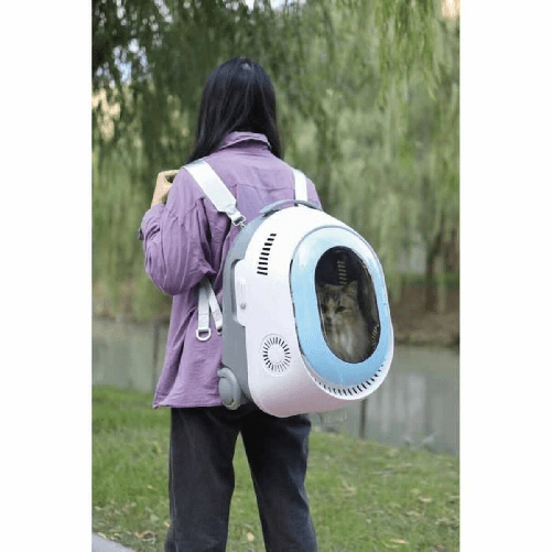 img-749bc55d-e78b-4373-8f8b-a878791e6553.png