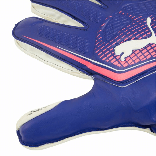 img-3d59cdc4-8988-49e9-ad66-ac3e80ca0ba0.png