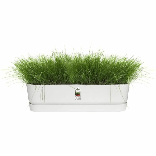 img-f094af85-8d68-4865-ba6c-5755d1671f39.png