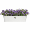 img-604eb265-6eeb-4711-b2b1-89d28649501d.png