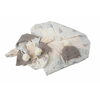 img-ddb8576e-437e-44af-b060-d3168001efb5.png