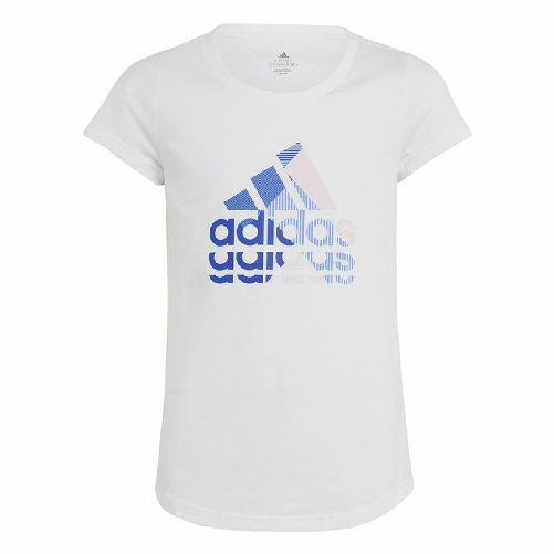 img-ba73240b-fd7f-48c5-9171-d1e8d2201693.png