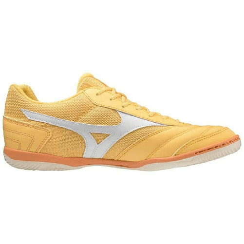 img-772552ae-e8a7-4876-b06b-20f4cf86cc02.png