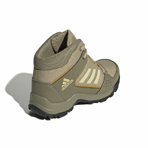 img-4c5916cc-7341-4b1a-a359-ea9dcbeb178e.png