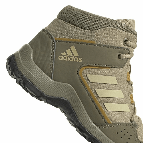 img-dff4b669-ef2d-4be2-9173-2bb6061c26d8.png