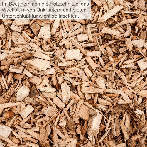 img-c5931da3-3d45-4c7a-bab5-65bc2edb30a3.png