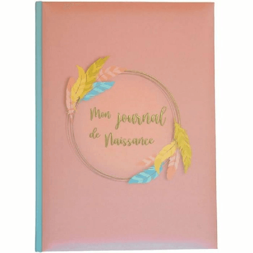 Domiva Album Domiva Mon Journal de Naissance