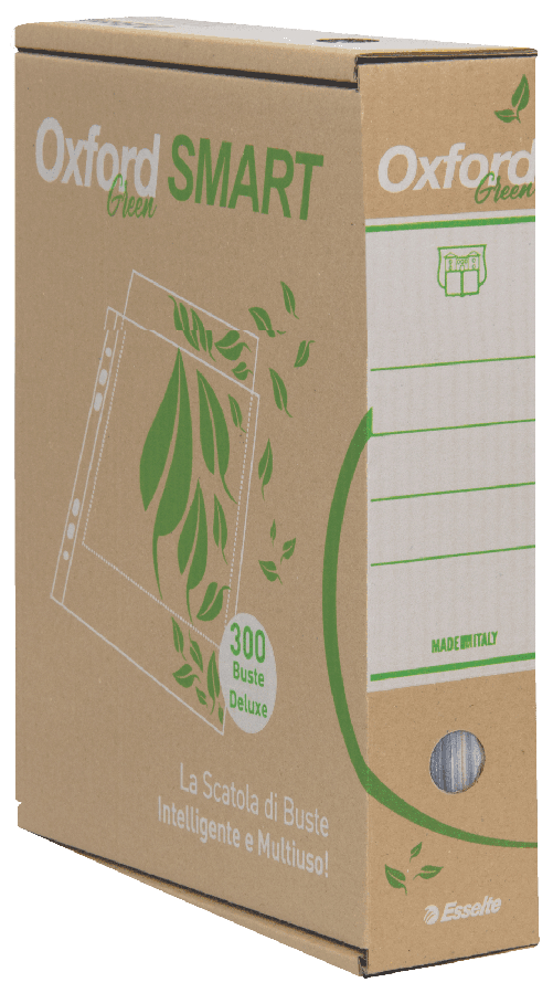 Esselte 397850504 sacchetto di carta Marrone, Verde