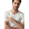 img-a379baca-16bb-4050-83b6-f6011efd413e.png