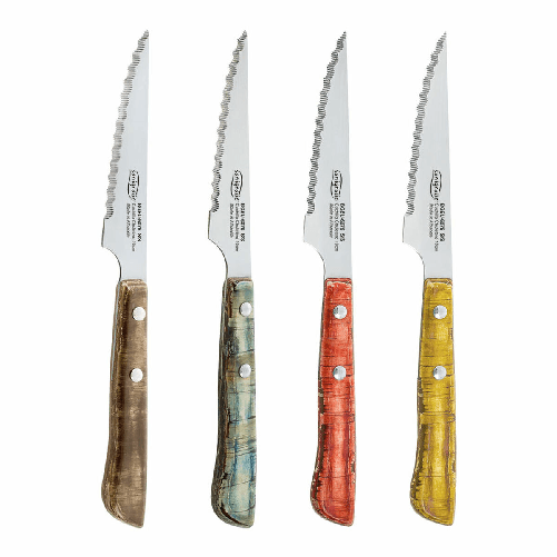 San Ignacio Set di Coltelli per Carne San Ignacio Evergreen BGEU-6076 Acciaio inossidabile