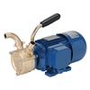 POMPA-IN-BRONZO-12-VOLTS