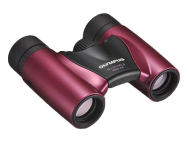 Olympus-8x21-RC-II-binocolo-BaK-4-Nero-Magenta