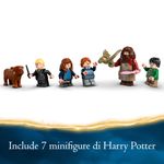 La-Capanna-di-Hagrid--una-visita-inattesa