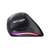 Trust-Bayo-Mouse-Mano-Destra-Rf-Wireless-Ottico-2400-Dpi