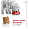 img-e5353202-6b79-4643-abab-7b823cab2e9c.png
