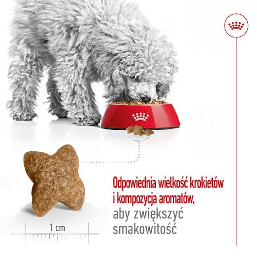 img-e5353202-6b79-4643-abab-7b823cab2e9c.png