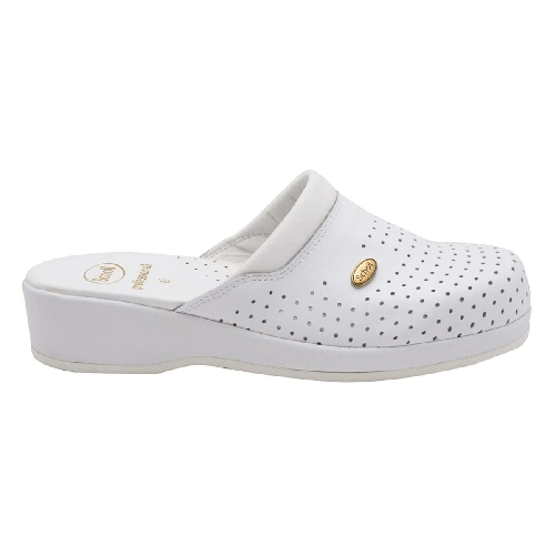 img-572248c4-feb8-466a-8adc-e1304dcb09c4.png