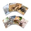 Pigna-Confezione-10-Quaderni-Maxi-Dolci-Cuccioli-42-Fogli-SH-10
